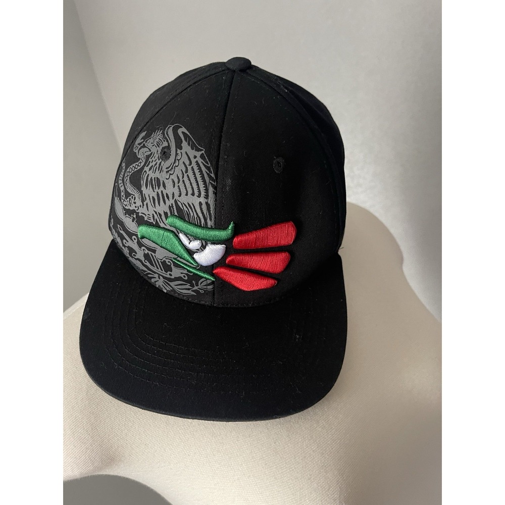 Hecho En Mexico Snapback Hat Black One Size Embroidered Top Level